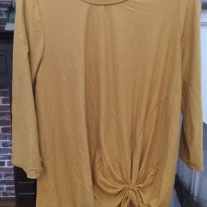 Elegant Mustard Long Sleeve Blouse